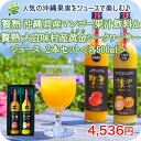 贅熟 沖縄県産 マンゴー 果汁 飲料 & 大宜味村産 黄金(くがに) シークヮーサー ジュース 500ml 2本 ギフト セット 高級 贈答 果汁 100％ 濃厚 健康 長寿 完熟 沖縄 お土産 挨拶 朝食 お客様 内祝 出産祝い お返し 法人ギフト 贈り物 にぴったりな