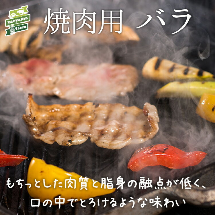 全国お取り寄せグルメ沖縄その他肉類No.16