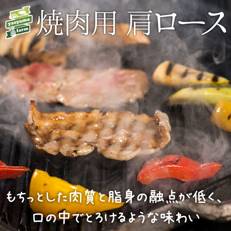 石垣島産 アグー豚 南ぬ豚 焼肉用 肩ロース 500g | 高級 あぐー豚 贈答 国産 沖縄 石垣島 オリジナル ブランド豚 希少な 贅沢 BBQ とろける 旨み ヘルシー 極上 こだわりの 逸品 贈答 お客様 …