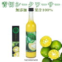 大宜味村産 青切 シークヮーサー ジュース 100% 500ml 1本 | 高級 シークワーサージュース 贈答 ストレート 果汁 100％ 濃厚 原液 健康 フレッシュ 国産 沖縄 南の島 シークアーサー お土産 挨拶 お客様 内祝 出産祝い お返し 法人ギフト 贈り物