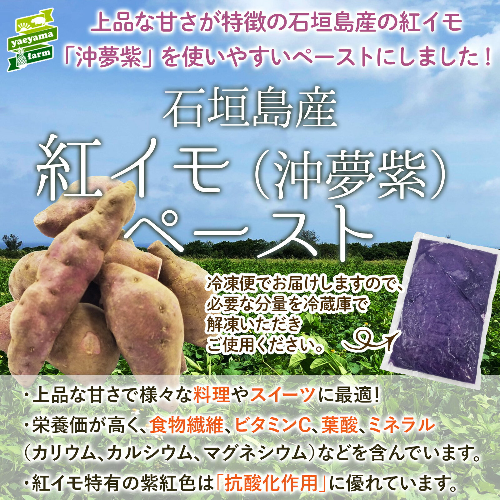 【 送料無料 】石垣島産 紅芋「 沖夢紫 (おきゆめむらさき) 」ペースト 3kg | 冷凍 安心 安全 子供 おやつ デザート 料理 トッピング 業務用 国産 沖縄 保存料フリー 防腐剤フリー ペースト スイーツ 無添加 無着色 紅イモペースト 紅芋ペースト やえやまファーム