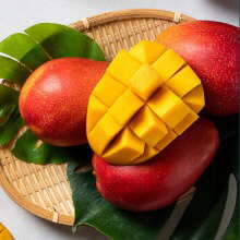【送料無料】7月上旬〜発送 石垣島産 マンゴー アーウィン 約2kg 4〜6玉 産地直送 沖縄 お届 南国 おとりよせ 贈答 高級 ギフト 秀品のサムネイル