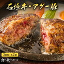 石垣牛 アグー豚 ハンバーグ 食べ比べ 6個セット(140g×4個 120g×6個) 石垣島産 豚肉 南ぬ豚 ぱいぬぶた 牛肉 網脂ハンバーグ お取り寄せグルメ 国産 沖縄 ギフト プレゼント 贈答 お土産 お返し 高級 希少 贅沢 極上 ブランド牛 法人 お中元 お歳暮 冷凍 やえやまファ－ム