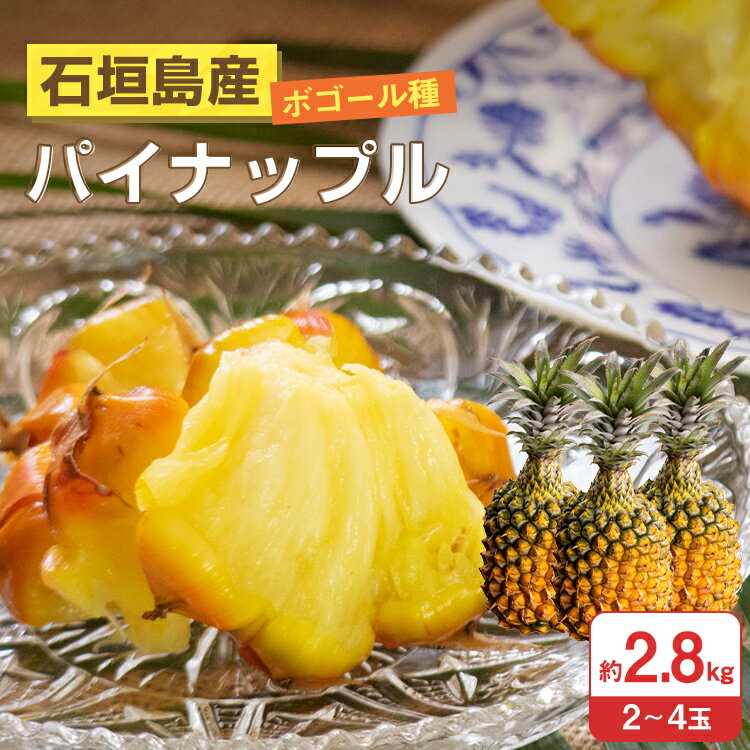 【 送料無料 】石垣島産 スナックパイン ボゴール種 約2．8kg（2～4玉) | スナックパイン 国産 沖縄 高級 贈答 プレゼント 希少 特別 常温 送料無料