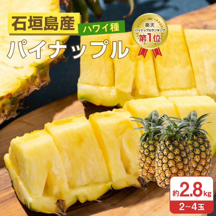 パイナップルスライス缶詰 400g★有機JAS（無農薬・無添加）