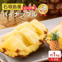 【 送料無料 】石垣島産 パイナップル ピーチ種 約1kg（1～2玉) | 国産 沖縄 高級 贈答  ...