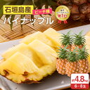 【 送料無料 】石垣島産 パイナップル ピーチ種 約4．8kg（6～8玉) | 国産 沖縄 高級 贈 ...