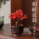 造花・仏花 『 和紙盆栽<もみじ> 』 小物 おしゃれ 種類 モダン かわいい 常花 造花 ミニ サイズ コンパクト 小さい 小型 インテリア お供え 供養