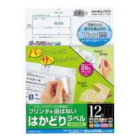 コクヨ プリンタを選ばないはかどりラベル A4 12面 NEC文豪2列用 100枚 (KPC-E80172) コクヨ プリンタを選ばないはかどりラベル A4 12面 NEC文豪2列用 100枚 (KPC-E80172)