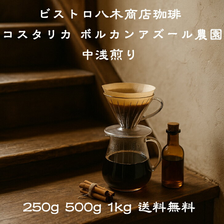 コーヒー豆 豆のまま 浅煎りコーヒー豆 フレーバー 【コスタリカ Volcan Azul 農園 浅煎り】250g 500g ..