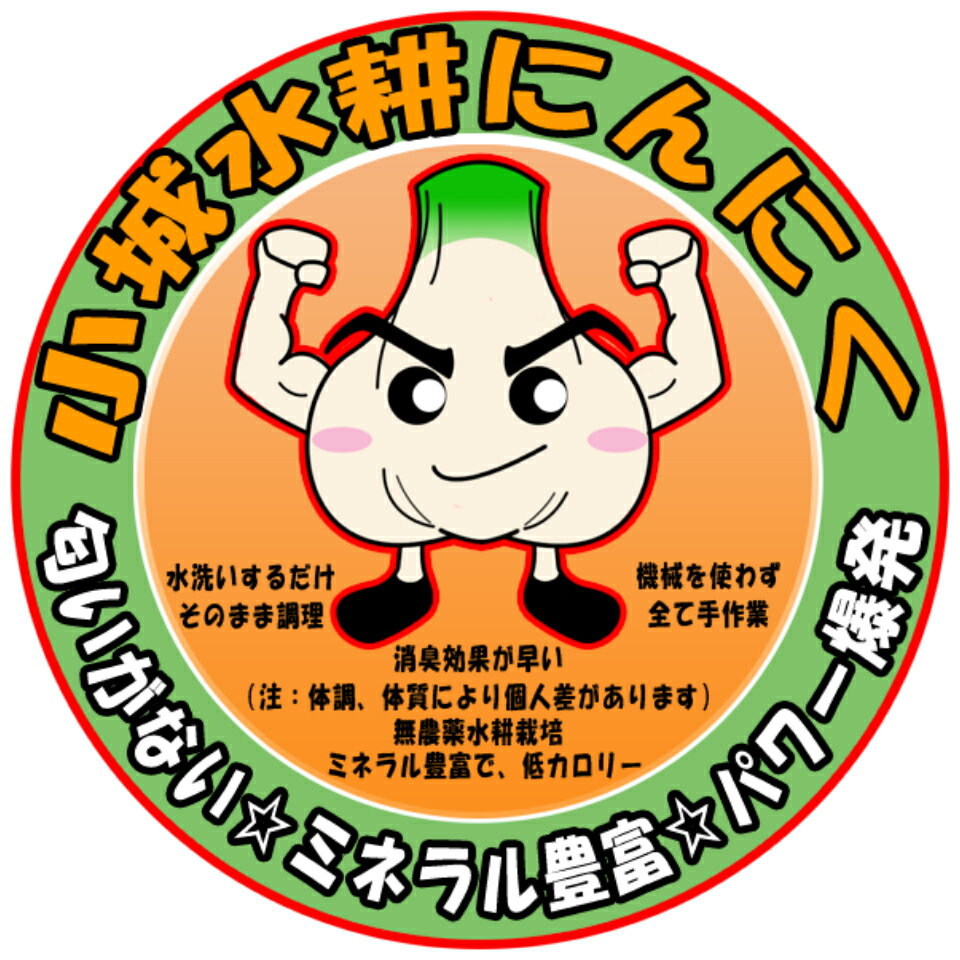Shop icon