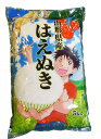 【送料無料】1年産山形県産はえぬき白米5kg【沖縄別途500円加算】