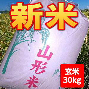 新米【送料無料】30年産山形県産はえぬき玄米30kg【沖縄・離島別途1000円加算】