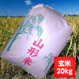 【送料無料・精米無料】30年産山形県産コシヒカリ玄米20kg【沖縄・離島1000円加...