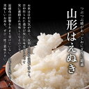 【送料無料】令和5年産 山形県産 はえぬき 白米10kg お試し【沖縄別途1000円加算】 2