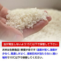 【送料無料・精米無料】1年産山形県産はえぬき玄米30kg【沖縄・離島別途2000円加算】