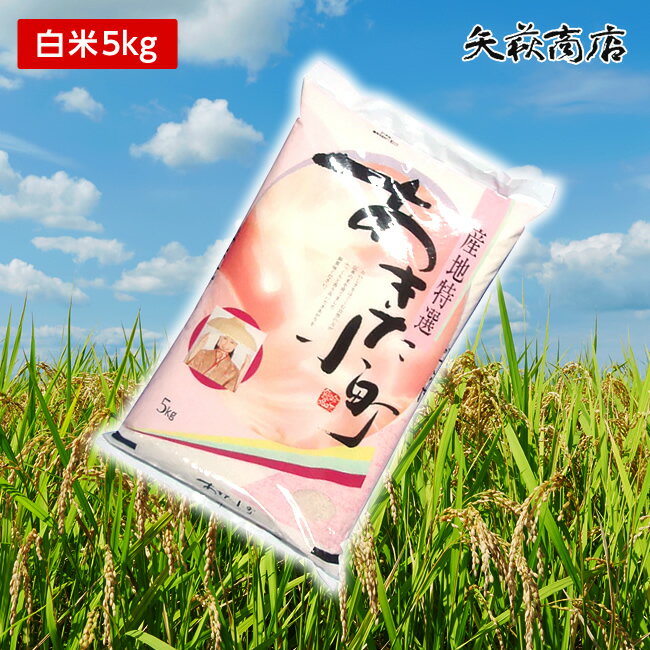 【送料無料】1年産山形県産あきたこまち白米5kg【沖縄別途1000円加算】...