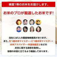 【送料無料・精米無料】1年産山形県産はえぬき玄米30kg【沖縄・離島別途2000円加算】