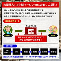 【送料無料・精米無料】1年産山形県産はえぬき玄米30kg【沖縄・離島別途2000円加算】