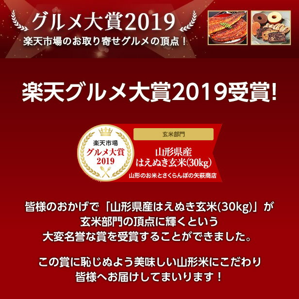 【送料無料・精米無料】令和2年産 山形県産 はえぬき 玄米30kg【沖縄・離島別途2000円加算】