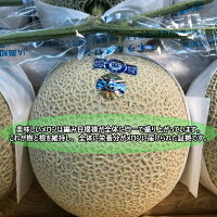 アールスメロン高知メロン高知県産1玉