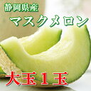 マスクメロン 静岡県産 1玉 高級メロンギフト 贈答用 お歳暮 お中元ギフト メロン 高級