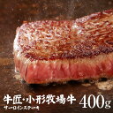 小形牧場牛サーロインステーキ 200g×2枚(計400g) 個包装で便利 送料無料