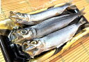 築地丸中 数量限定!うるめいわし丸干し3尾(山口県産) ウルメいわし イワシ 鰯 いわし 居酒屋