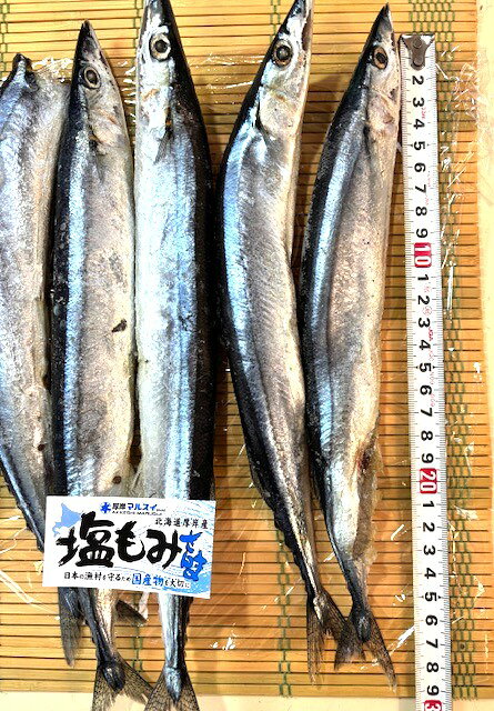 築地丸中の築地丸中　訳あり！塩もみさんま10尾（北海道厚岸産）！ さんま サンマ 秋刀魚 塩焼きさんま 居酒屋｜アングル2