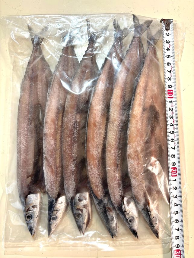 Pacific Saury - 築地丸中　さんま開き（北海道産6枚）さんま サンマ 秋刀魚