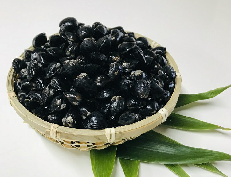 築地丸中　日本三大しじみ産地の涸沼（ひぬま）しじみ1kg！