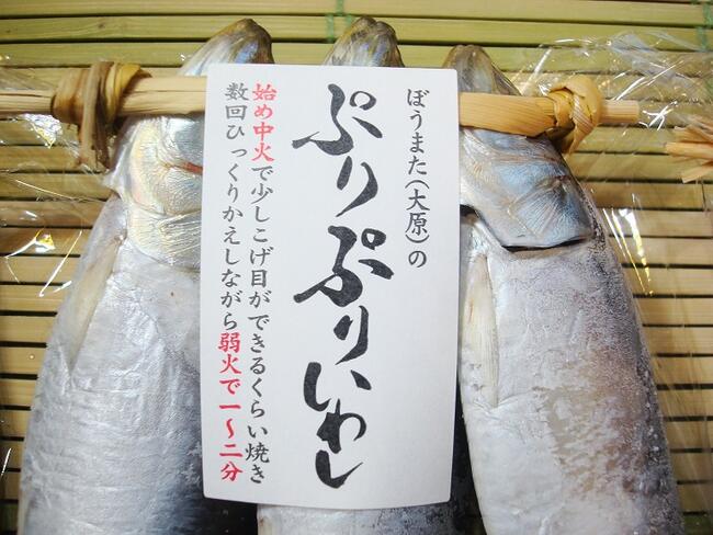ぷりぷりいわし12尾(千葉県産)いわし イワシ 鰯
