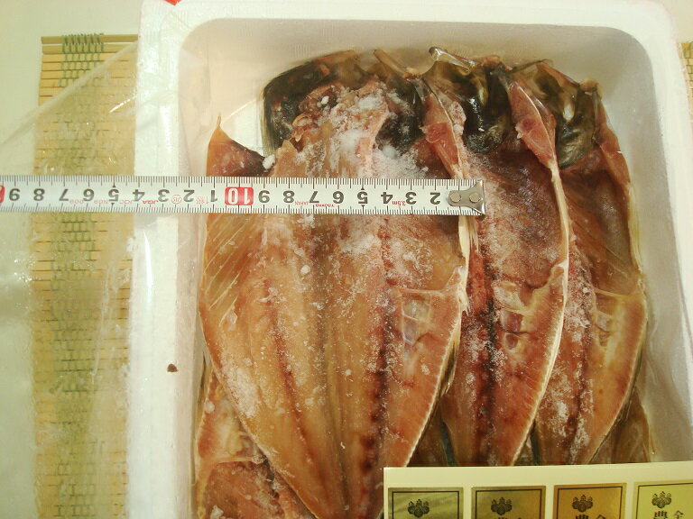 サンプル画像2