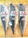 築地丸中 寒さば3枚! 添加物不使用 さば文化干し サバ 鯖 かんさば 居酒屋