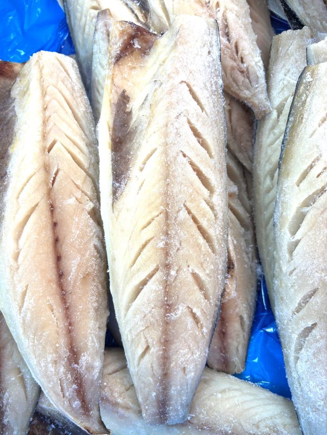 ���ϴ��桡���Хե���ʸ������5�硪 ���� ���� �� ��� ������