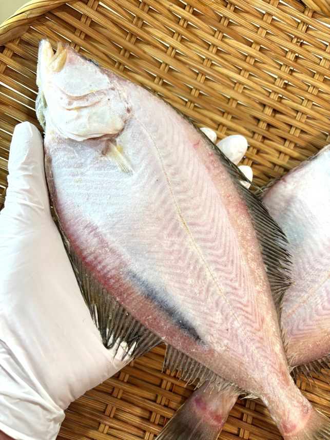 築地丸中　えてかれい干し2枚（島根県産）！かれい カレイ 山カレイ居酒屋