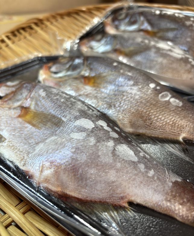 築地丸中　塩焼き・唐揚げで！ たなご一夜干し（岩手県産）4～5尾！ タナゴ yaichi81-10001097 築地丸中 サンプル画像3