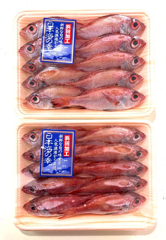 乐天商城 - 築地丸中　訳あり！ のどぐろ丸干し20尾（島根県産）！ あかむつ ノドグロ