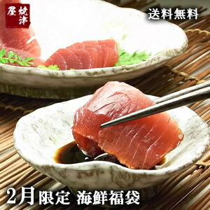 【送料無料】2月の焼津屋福袋　海の幸4種セット+おまけ付き【ギフト】北海道、沖縄へは700円加算