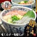 【送料無料】母の日 食べ比べセット 生しらす・生桜えび セット北海道、沖縄へは700円加算 母の日 2025 楽天 感謝 贈り物 海鮮グルメ ごちそう