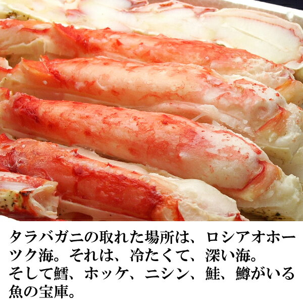 新物ボイルタラバガニ ハーフポーション（カラ半分割り）800g 入園祝 入学祝 卒園祝 卒業祝 ギフト 贈り物に ひな祭り 雛まつり 桃の節句 ちらし寿司 海鮮ちらし バレンタイン チョコ以外 食べ物 お返し ホワイトデー格安通販　バレンタイン　人気　ランキング