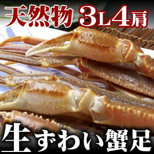 焼きガニ、かにすきにっ！生ズワイガニ（ずわいがに足） 4肩　（1.2kg）　/蟹