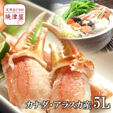 カニ爪(ボイル 本 ズワイガニ)殻付き 5L 1kg(16〜20個入) 【送料無料】北海道、沖縄へは700円加算 訳ありじゃない極上品!昨年販売実績400個突破!ひなまつり 海鮮ちらし寿司 初節句 ハレの日 卒業 入学 お祝い 豪華 海鮮グルメ 海鮮鍋 海鮮ギフト 海鮮丼の具 冬の味覚