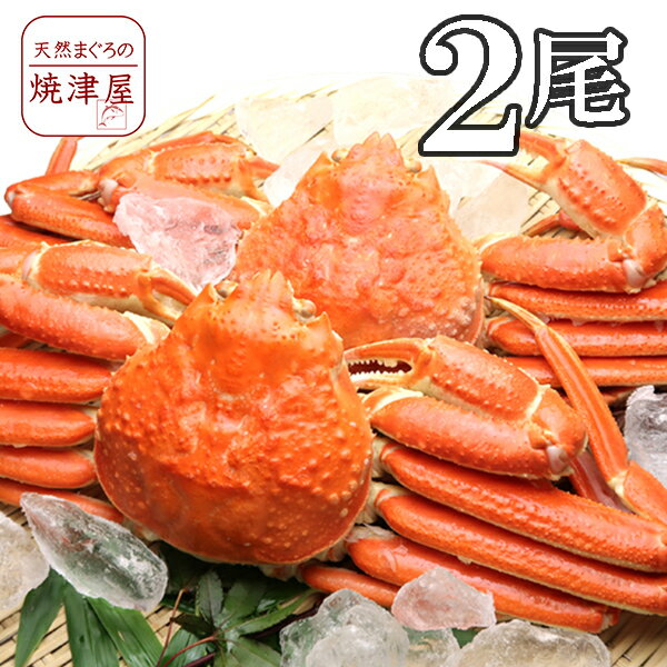 極上ズワイガニ姿(ボイル) 600g×2尾 カナダ産極上品 沖縄へは700円加算 かにみそが、たっぷり入っています！ 父の日 ギフト プレゼント おつまみ 海鮮 グルメ ランキング