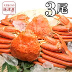 極上ズワイガニ姿（ボイル）600g×3尾 【送料無料】カナダ産 極上品 沖縄へは700円加算 かにみそたっぷり入っています！春 新生活 母の日 ランキング ギフト プレゼント 手巻き寿司 海鮮丼