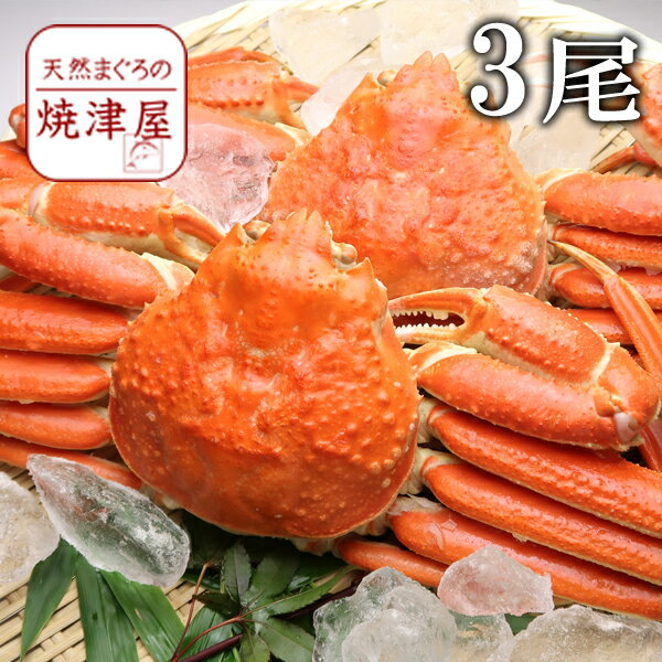 極上ズワイガニ姿（ボイル）600g×3尾 【送料無料】カナダ産 極上品 北海道沖縄へは700円加算 かにみそたっぷり入っています！カナダフェア 父の日 早割 プレゼント 食べ物 海鮮 食品 おつまみ 定番ギフト グルメのサムネイル