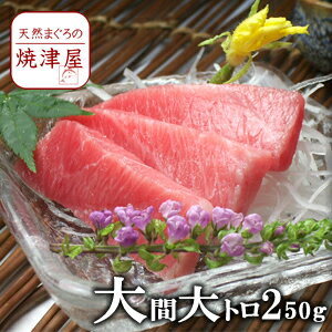 大間産 本 マグロ 大トロ (冷凍) 250g以上【送料無料】北海道、沖縄へは700円加算 食欲の秋 グルメ 季節のギフト お歳暮 帰省暮 おつまみ お取り寄せ 酒の肴 プレゼント