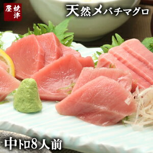 天然高級 メバチマグロ（ばちまぐろ）中とろ 8人前（800g）/鮪【ギフト】鮪　マグロ　まぐろ　初節句　ひな祭り　ちらし寿司　海鮮丼　手巻寿司　鉄火丼　贈り物　お土産　お取り寄せ