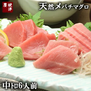 天然高級メバチマグロ（めばちまぐろ）中とろ　 6人前（600g）/鮪【ギフト】鮪　マグロ　まぐろ　初節句　ひな祭り　ちらし寿司　海鮮丼　手巻寿司　鉄火丼　贈り物　お土産　お取り寄せ