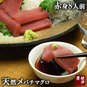 天然極上メバチマグロ（めばちまぐろ）赤身 8人前（800g）/鮪【ギフト】